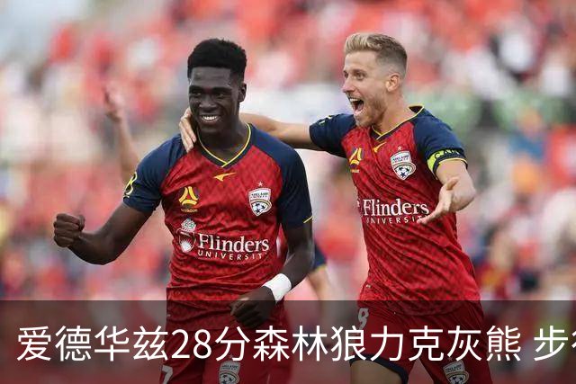 爱德华兹28分森林狼力克灰熊 步行者险胜国王
